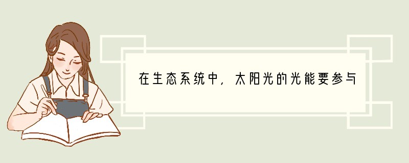 在生态系统中，太阳光的光能要参与生物圈中的能量流动，首先需要通过[ ]A．生产者B．